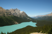 Peyto Lake