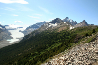 Hike to Parker\'s Ridge - view of Saskatchewan Glacier