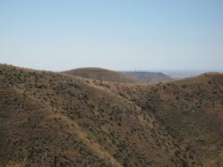 Sidewinder trail with bikers on the ridge