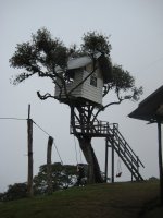Casa del Arbol - a cool place to view the volcano