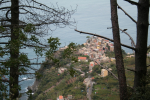 View of Corniglia from above