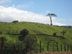Driving to La Fortuna