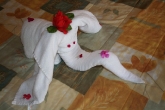Elephant towels!
