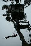 Stephanie swinging at Casa del Arbol