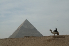 A security guard on camel-back