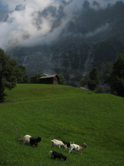 Switzerland