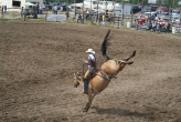 Frontier Days Rodeo