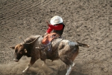 Bull Riding