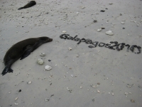 Galapagos!
