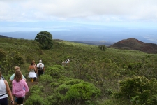 Hiking near Sierra Negra Volcano