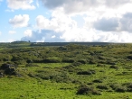 Ireland Countryside