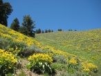 Hiking in Sun Valley