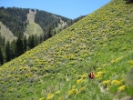 Hiking in Sun Valley