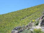 Hiking in Sun Valley