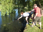 Group effort