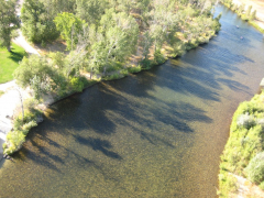 Floaters on the Boise River