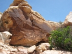 Petroglyphs - Moab, UT