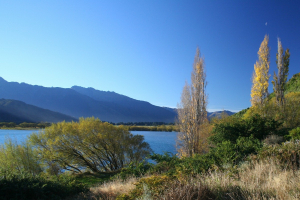 Lake Wanaka