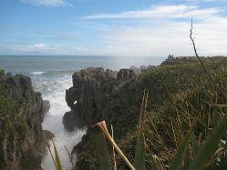 View of the main blowhole