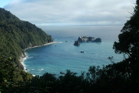 West coast near Haast