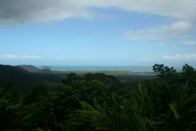 Rainforest and beach views