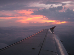 flight.jpg