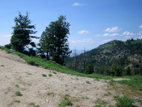 Trail - Summer