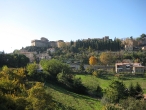 Volterra