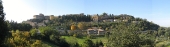 Volterra