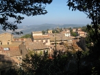 Volterra