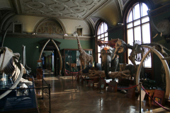 Natural History Museum