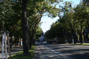 Nice wide boulevards
