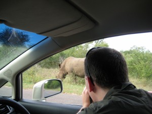 Animal viewing from the car