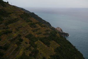We hiked across here through vineyards