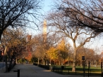 Early Morning in DC