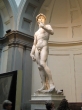 Michelangelo\'s David