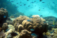 Great Barrier Reef