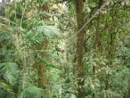Ben on Zipline