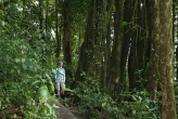 Alonna at Monteverde
