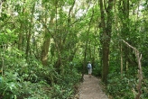 Alonna at Monteverde
