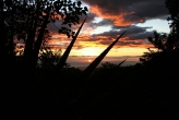 Sunset - Childrens Rainforest