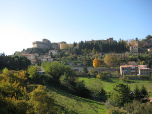 Volterra